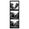 fadi-habib-photo - FRAGMENTS DE MEMOIRE