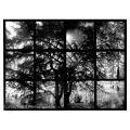 fadi-habib-photo - FRAGMENTS DE MEMOIRE