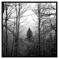 fadi-habib-photo - PAYSAGES