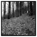 fadi-habib-photo - PAYSAGES