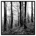 fadi-habib-photo - PAYSAGES