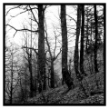 fadi-habib-photo - PAYSAGES