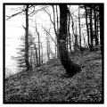 fadi-habib-photo - PAYSAGES