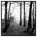 fadi-habib-photo - PAYSAGES