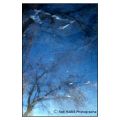 fadi-habib-photo - MIROIRS
