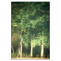 fadi-habib-photo - MIROIRS