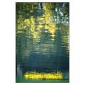 fadi-habib-photo - MIROIRS