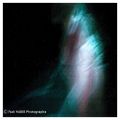 fadi-habib-photo - SUSPENSIONS